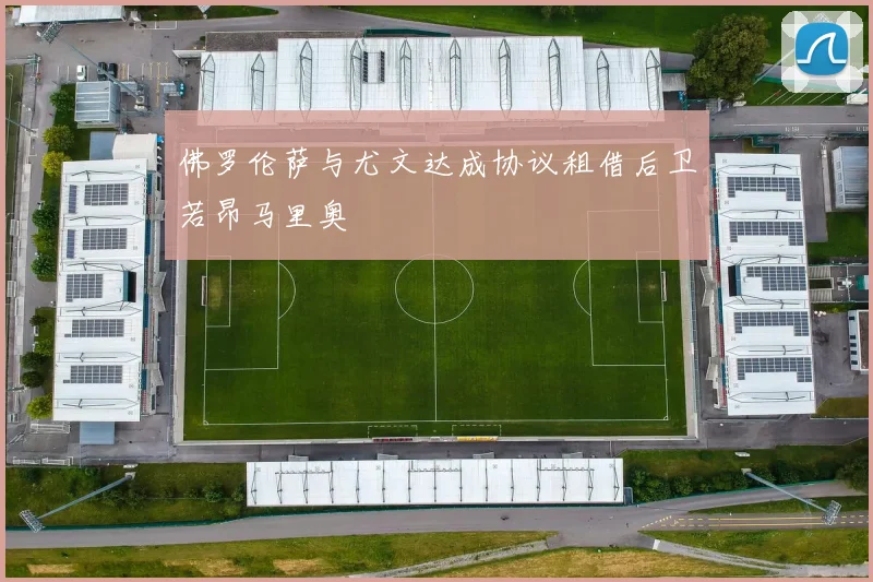佛罗伦萨与尤文达成协议租借后卫若昂马里奥