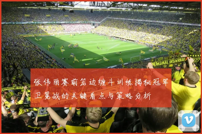 张伟丽赛前笼边缠斗训练揭秘冠军卫冕战的关键看点与策略分析